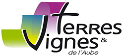 Logo TERRES&VIGNES